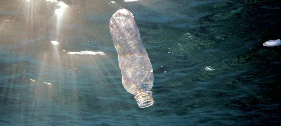 bottle