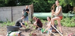 Bild zur Meldung