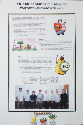 2011_Mario